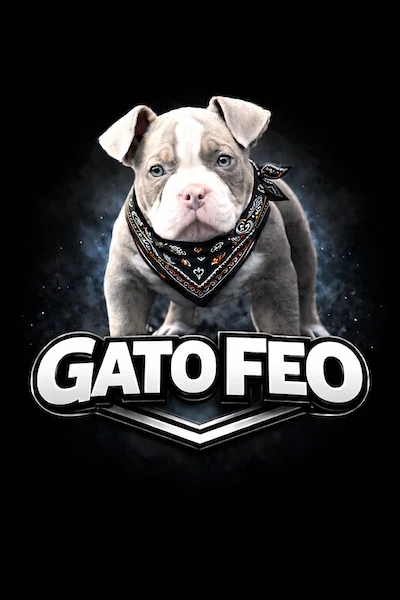 My Dog Gato Feo avatar