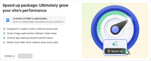 Shopify speed optimization service