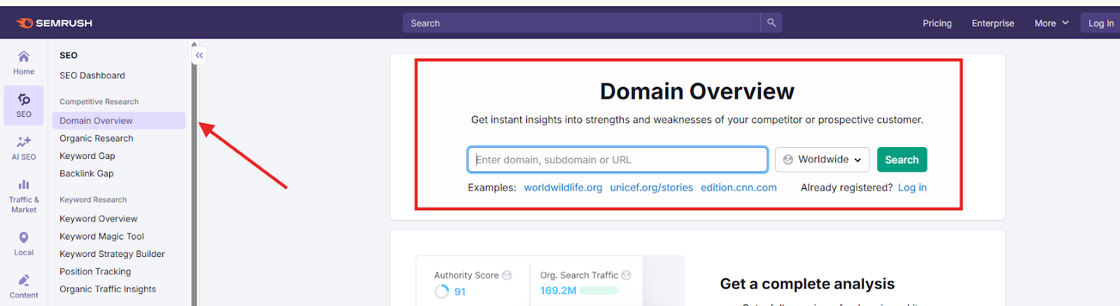 semrush's domain overview