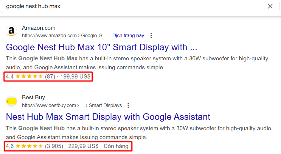 How Snippet Display When Search Google Nest Hub Max