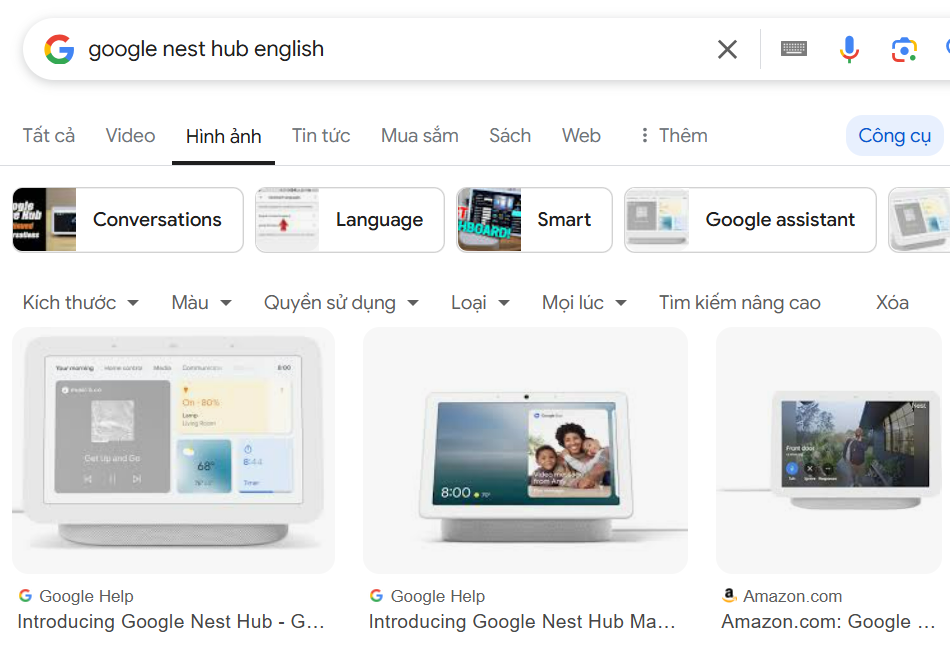 Image Displayed When Search Google Nest Hub English