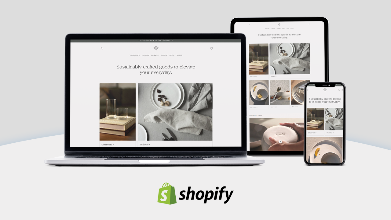 shopify basic plan with professional