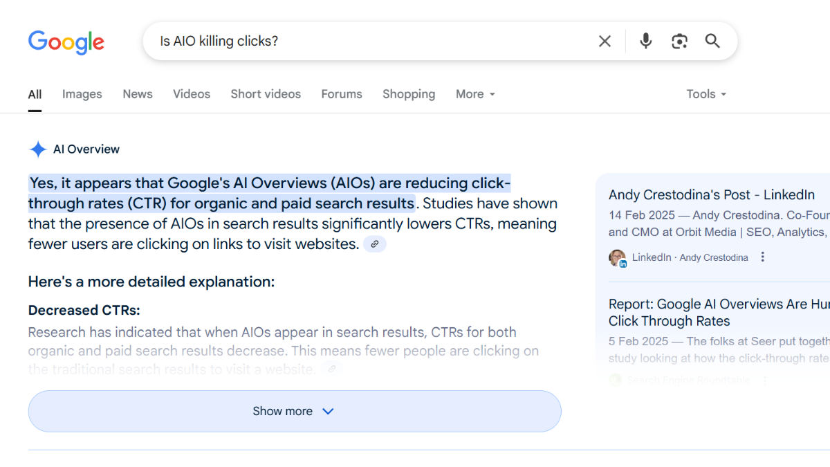 Instant response ai overview search