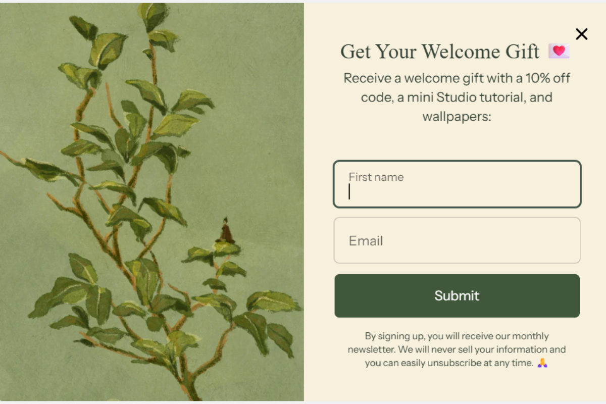 Email Popup: 11 Proven Best Practices That Convert (2026) 2 Email popup showing exit-intent design with punny headline, bright green background, and product shot